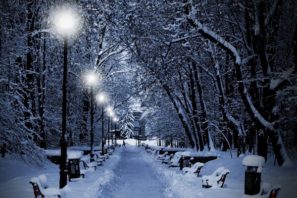 Camino en invierno por la noche entre bancos y árboles