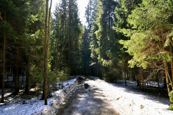 Strada di primavera disseminata di neve