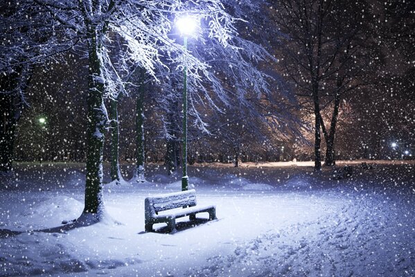 A lonely shop under a lantern in winter