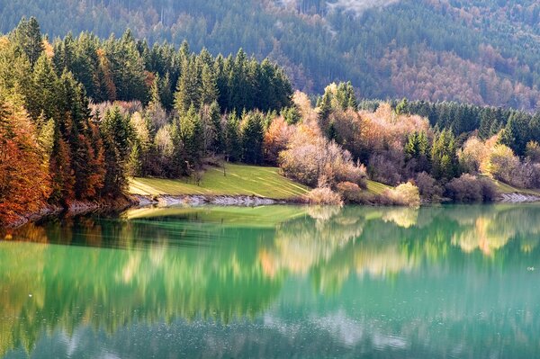 Nature automne côte près de la rivière et de la forêt