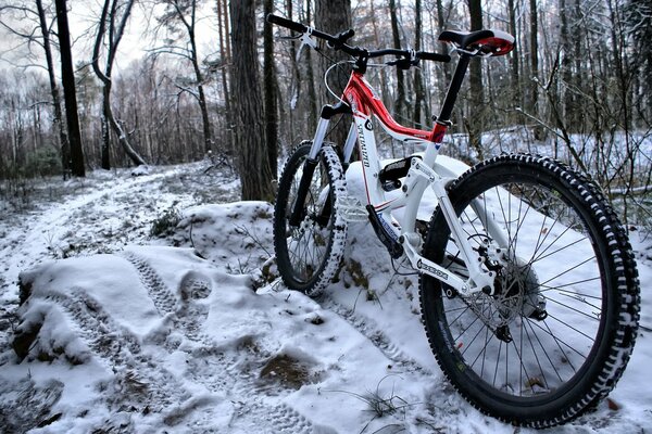 Vélo dans la forêt en hiver en rouge