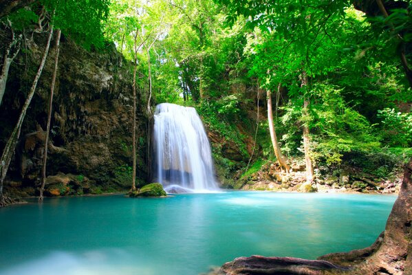 Cascade et lac d Azur dans la forêt tropicale