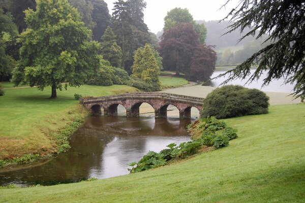 Parc vert en Angleterre