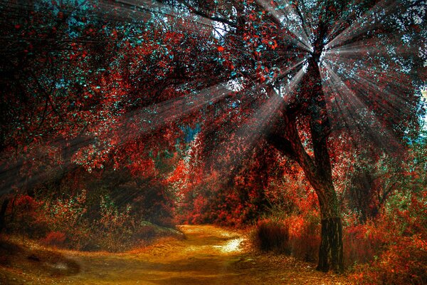 La luz del sol brilla a través del follaje de los árboles