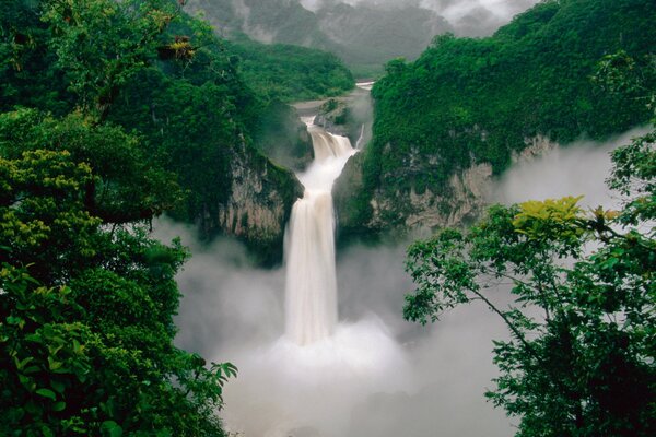 A large waterfall in dense greenery