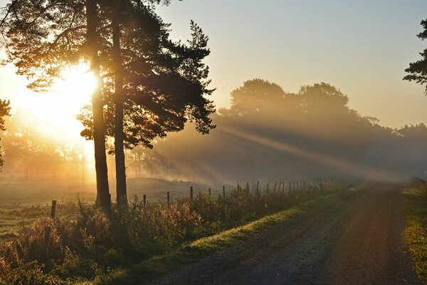 Die Morgensonne erhellt eine leere Straße