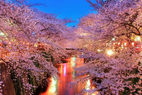 Flowering trees and a calm river