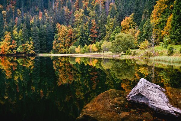 Autumn on the lake forest in bright colors