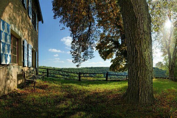 La bellezza della natura mattutina nel villaggio