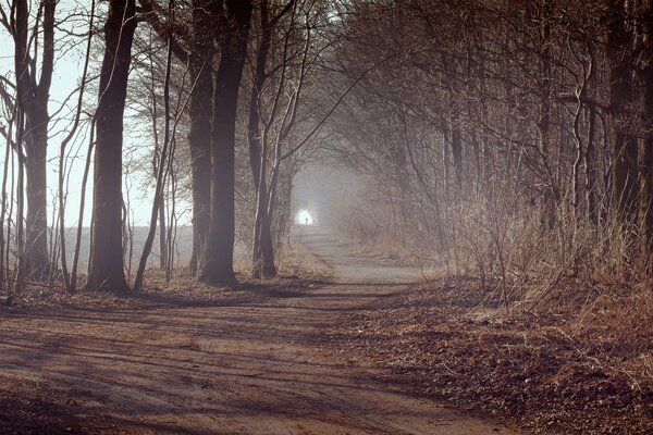 Wanderweg im Wald, Licht am Ende des Wanderwegs