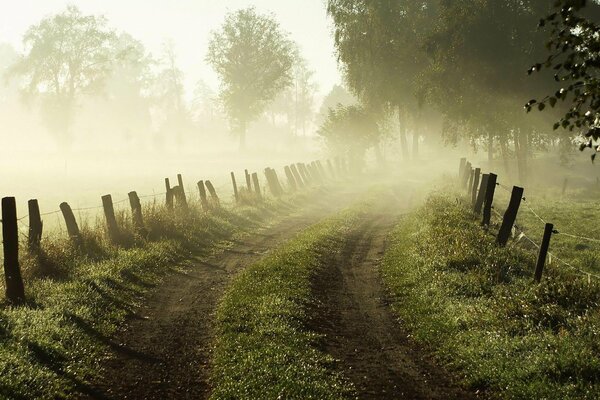 Amanecer, camino en la niebla