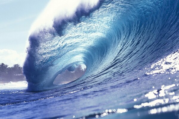 Vague de mer sur beau fond