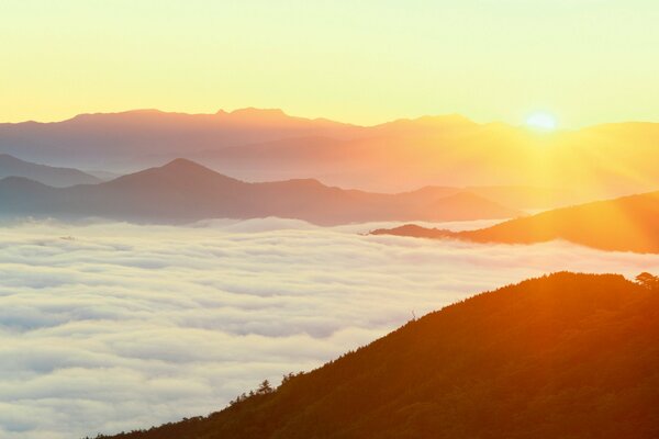 Nebel in den Bergen bei Sonnenaufgang in Japan