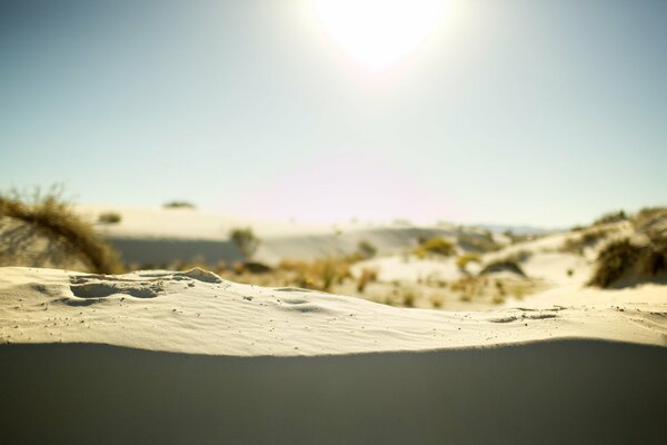 Un marco lleno de luz y calor medio día en el desierto