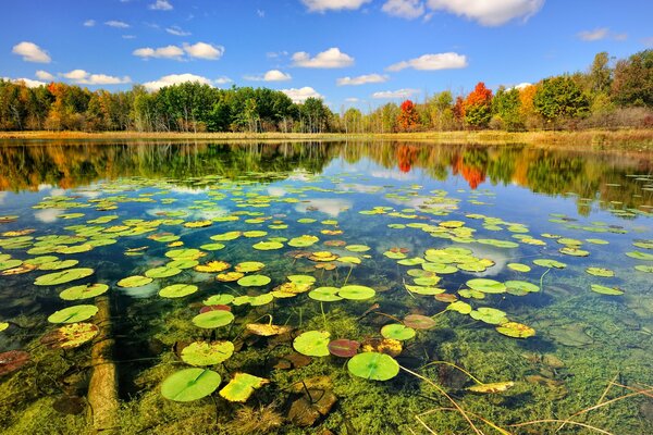 Eine Fülle von Farben der Herbstlandschaft