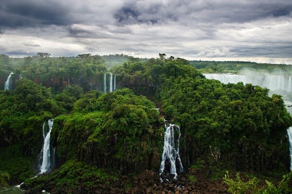 Jungle nature forest beauty waterfalls and rivers