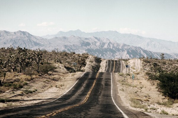 Camino del desierto en terreno árido