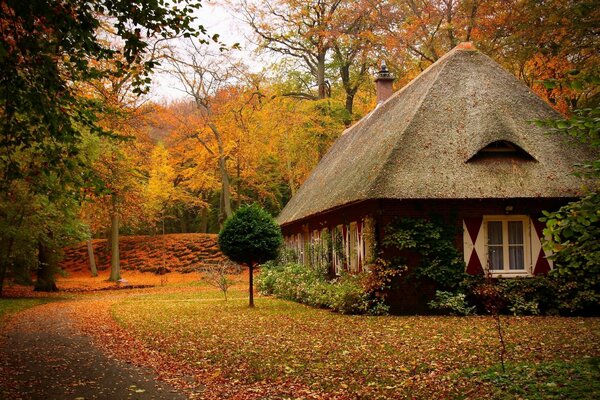 Jagdhütte im Herbstpark