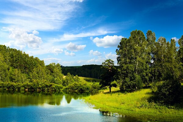 Paisaje de lago azul y bosque