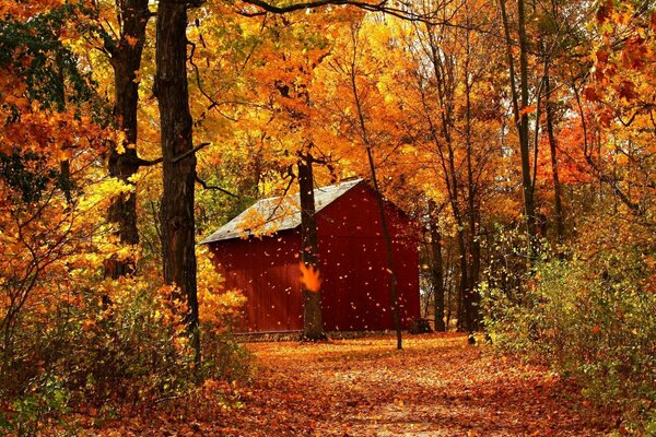 DAS ROTE HÄUSCHEN STEHT IM HERBSTWALD