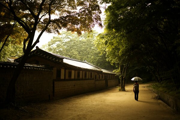 Nature. A girl with an umbrella near the house