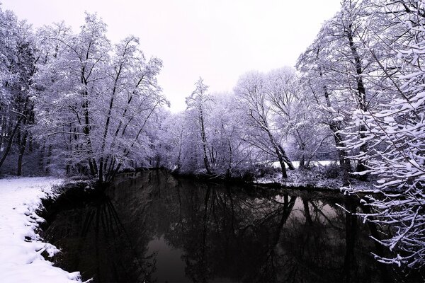 Im Winterwald ist eisfreies Wasser