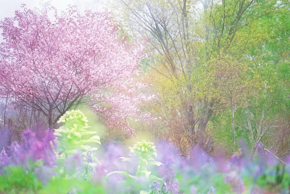 La primavera è arrivata, la freschezza ha portato