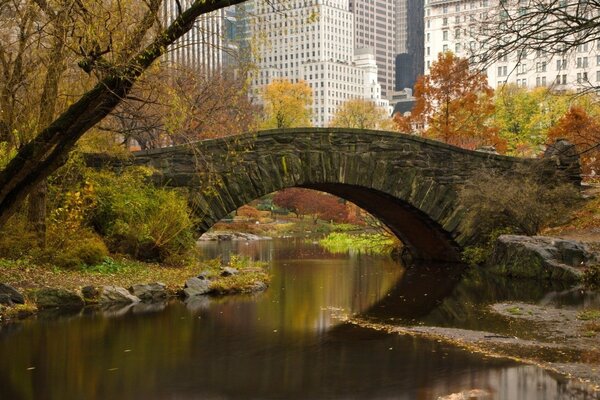 Puente de nueva York en primavera en el fondo de la ciudad