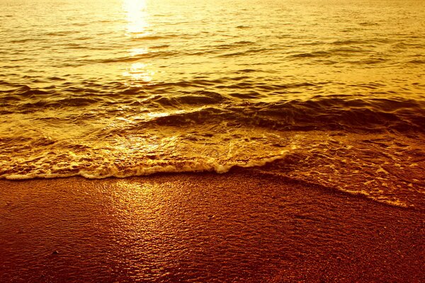 The seashore at sunset. Waves on the sand