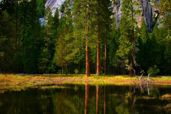 Lake in the forest with a view of the rocks