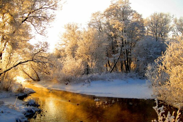 Paysage d hiver inondé de lumière du soleil