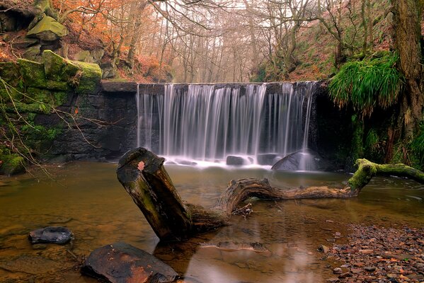 Waterfall on the background of the forest in autumn