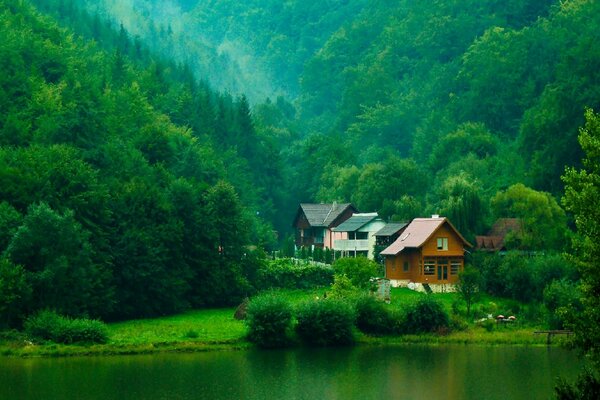 Cozy houses on the river bank