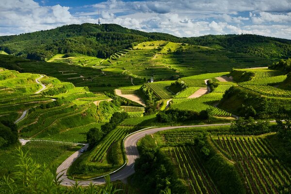 Die grüne Landschaft wird von Serpentinen durchquert