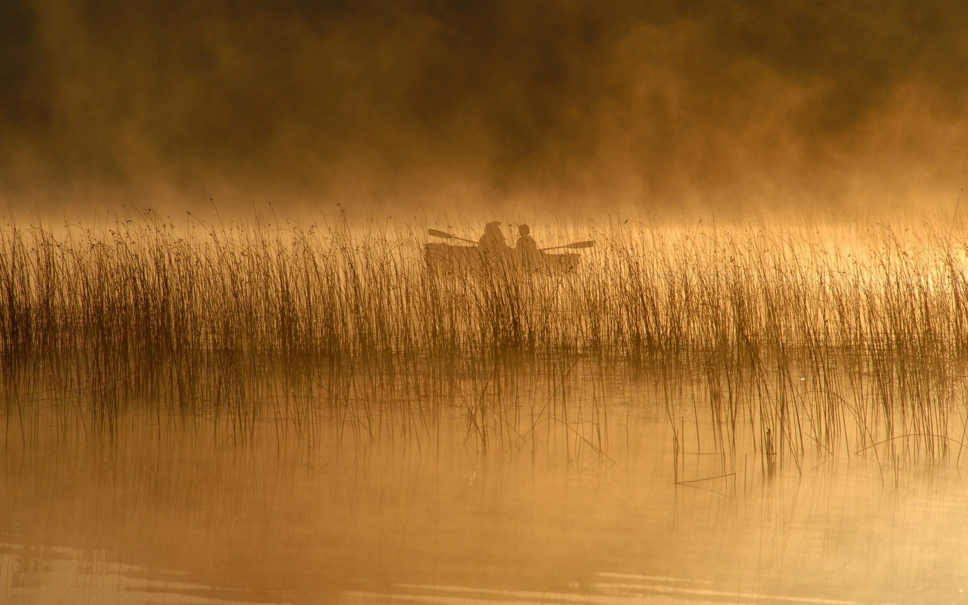 fluss schilf boot menschen see fluss mann landschaft natur