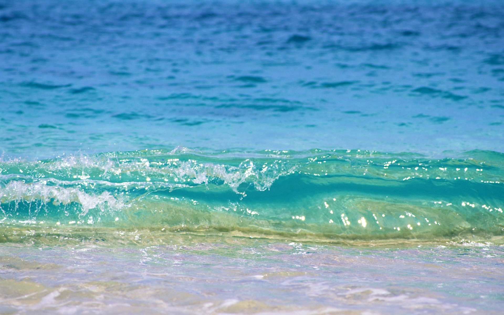 ocean woda plaża brzeg piasek mielizna lato wakacje