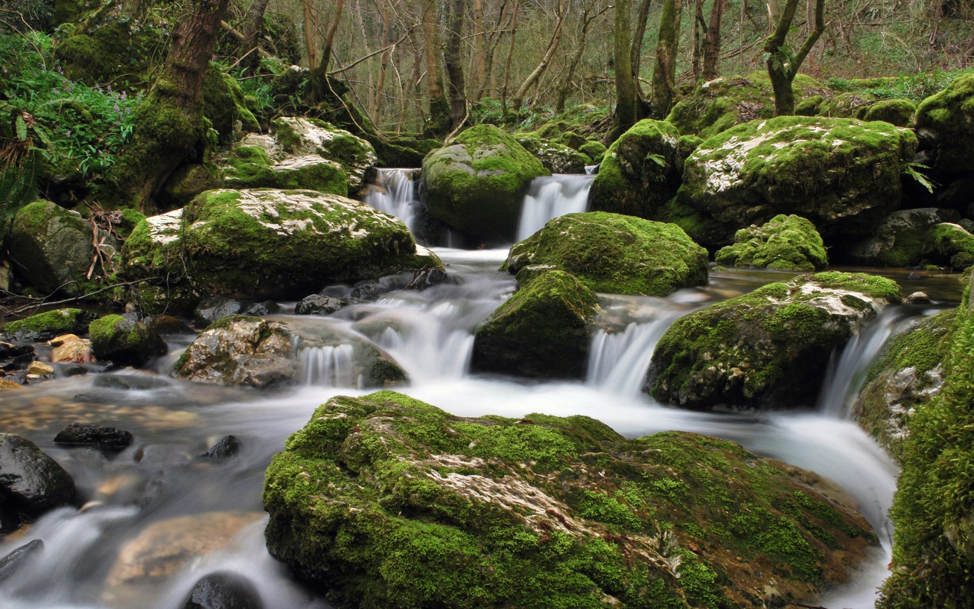 acqua ruscello pietre