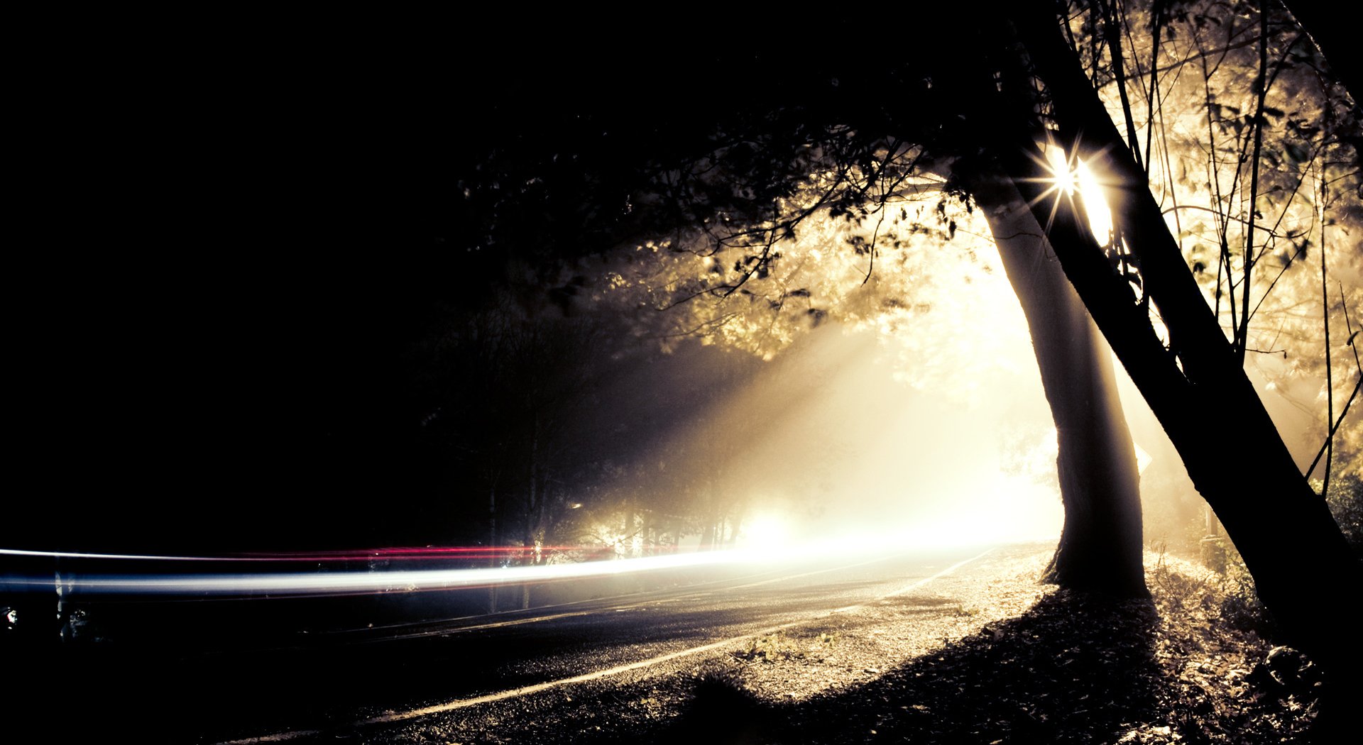 strada notte alberi luce