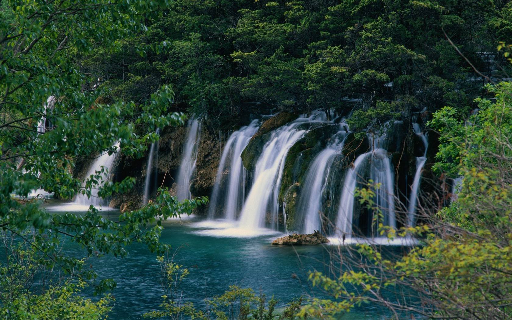 cascade forêt pierres