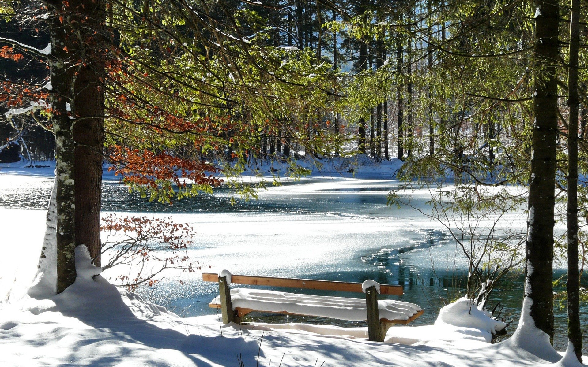 banc hiver froid rivière neige arbres romantique