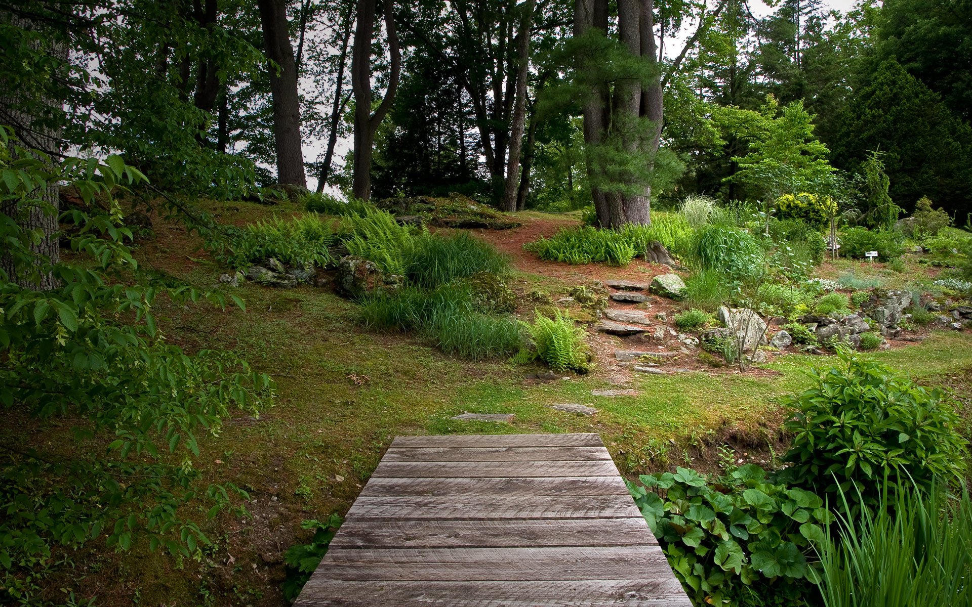 los árboles la hierba el verde el puente el jardín