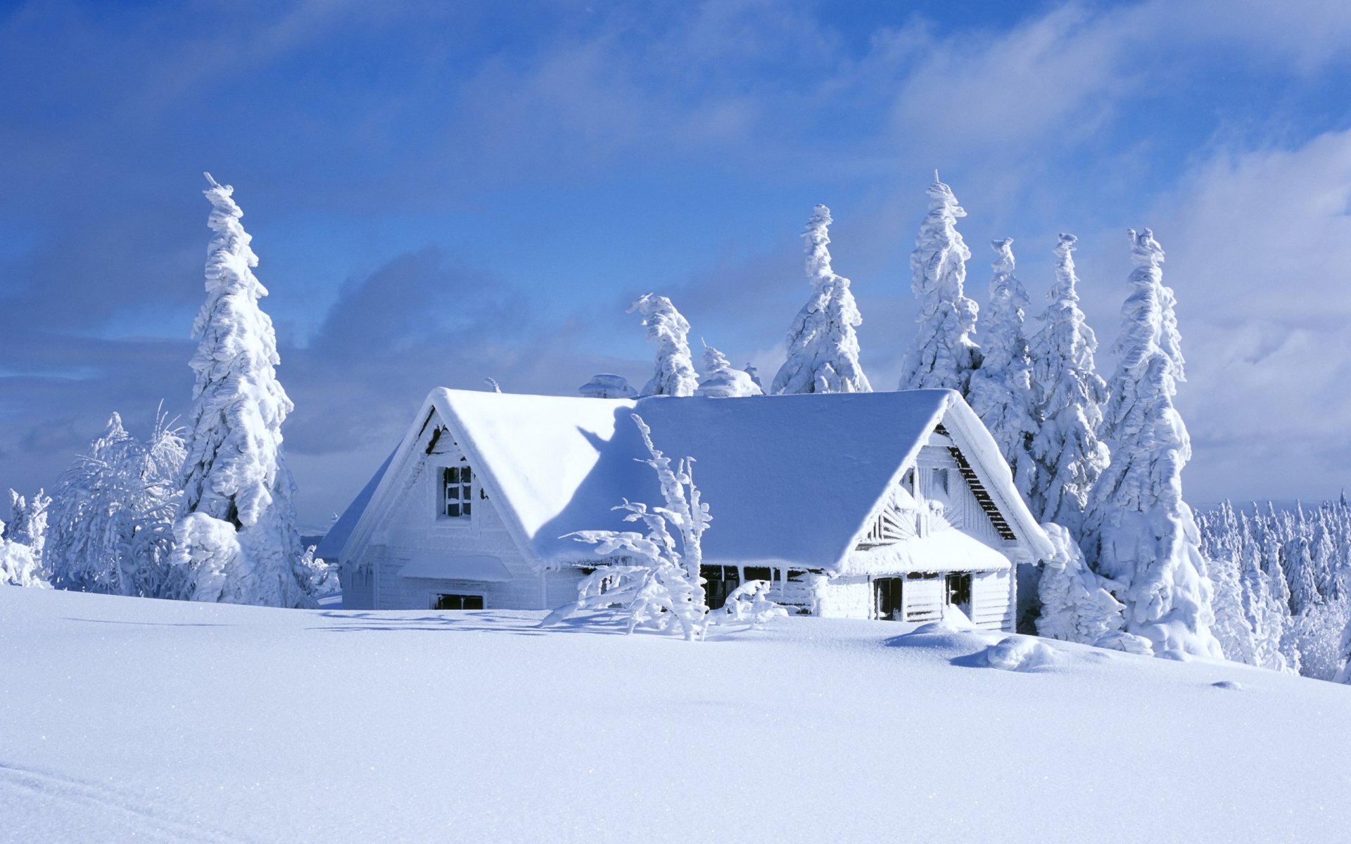 haus schnee fichte himmel