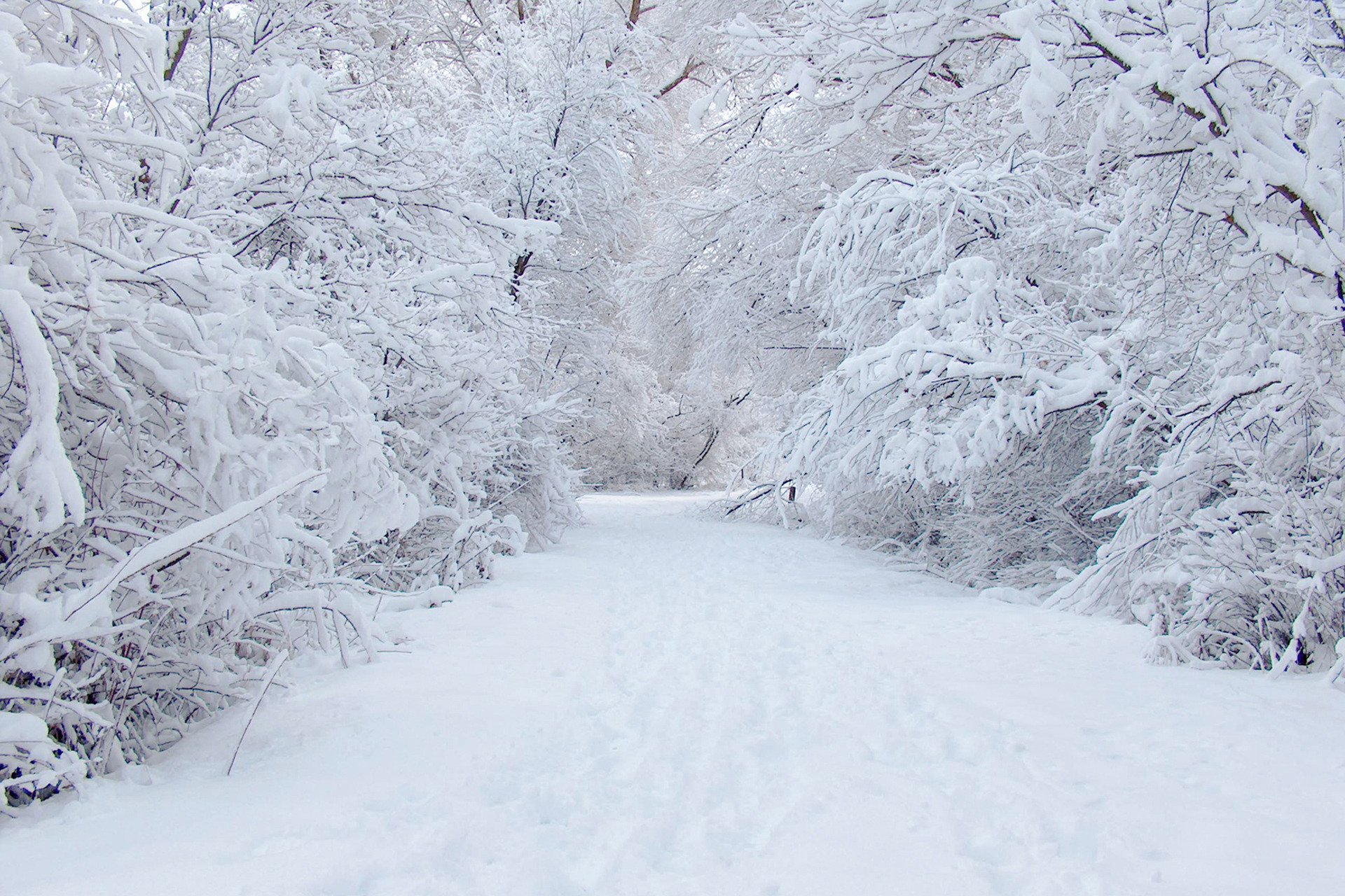 winter road snow