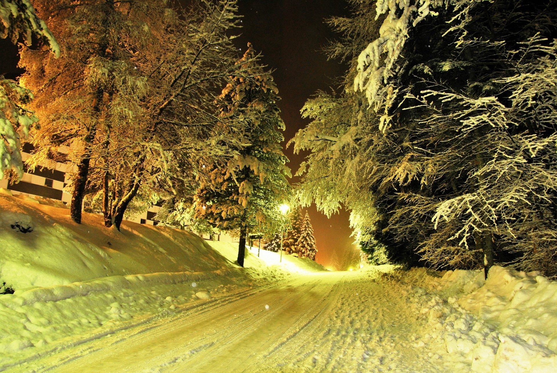 inverno strada neve alberi lanterne