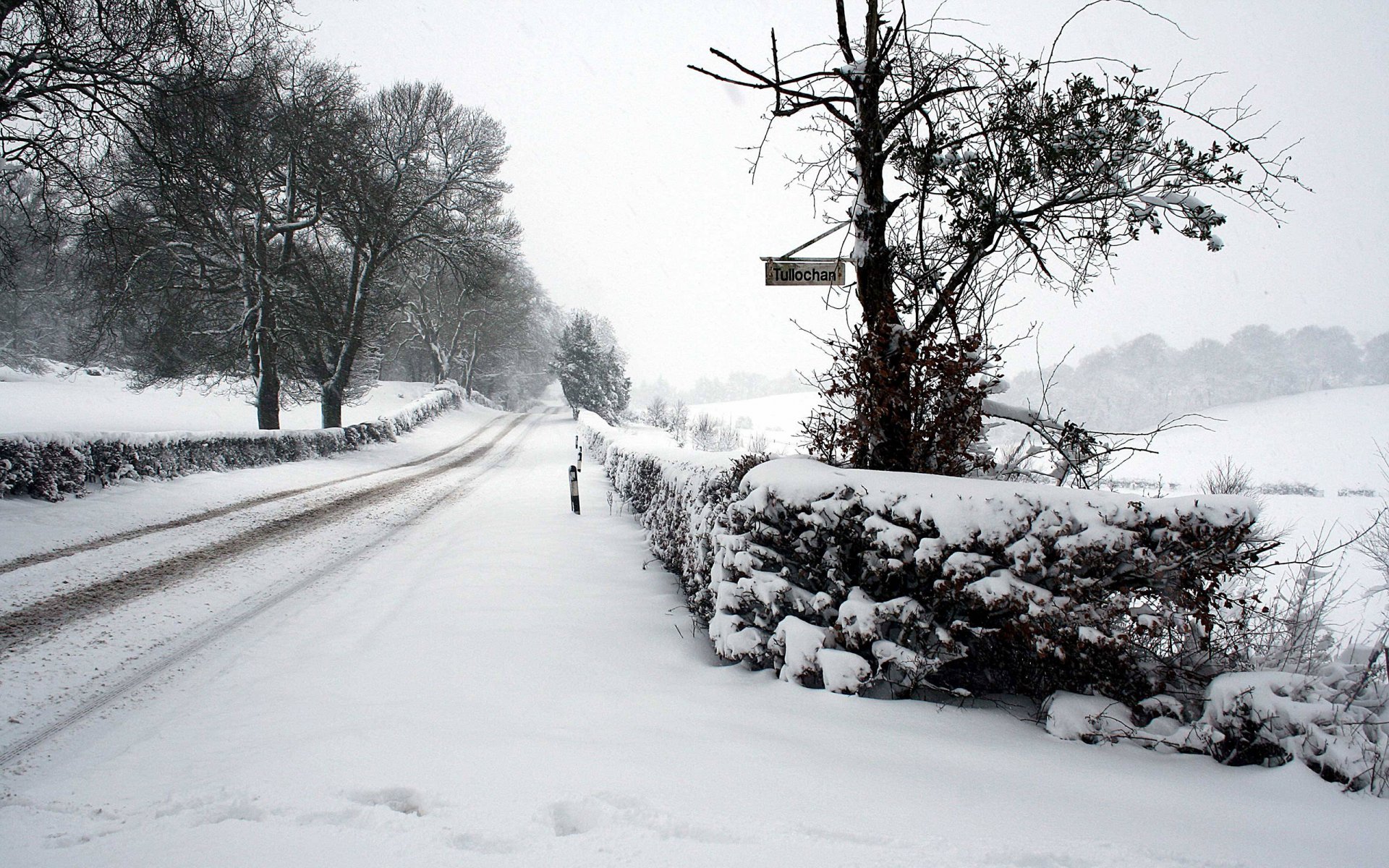 winter schnee straße