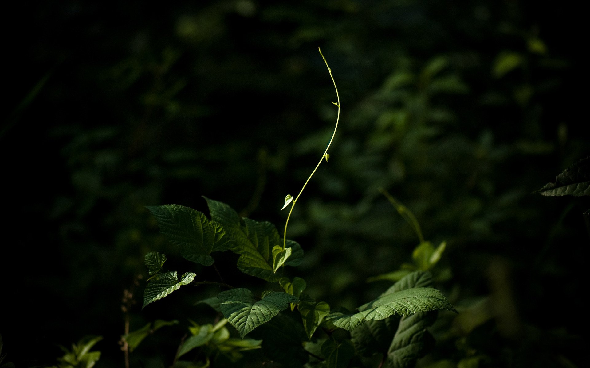 verano soledad planta arriba