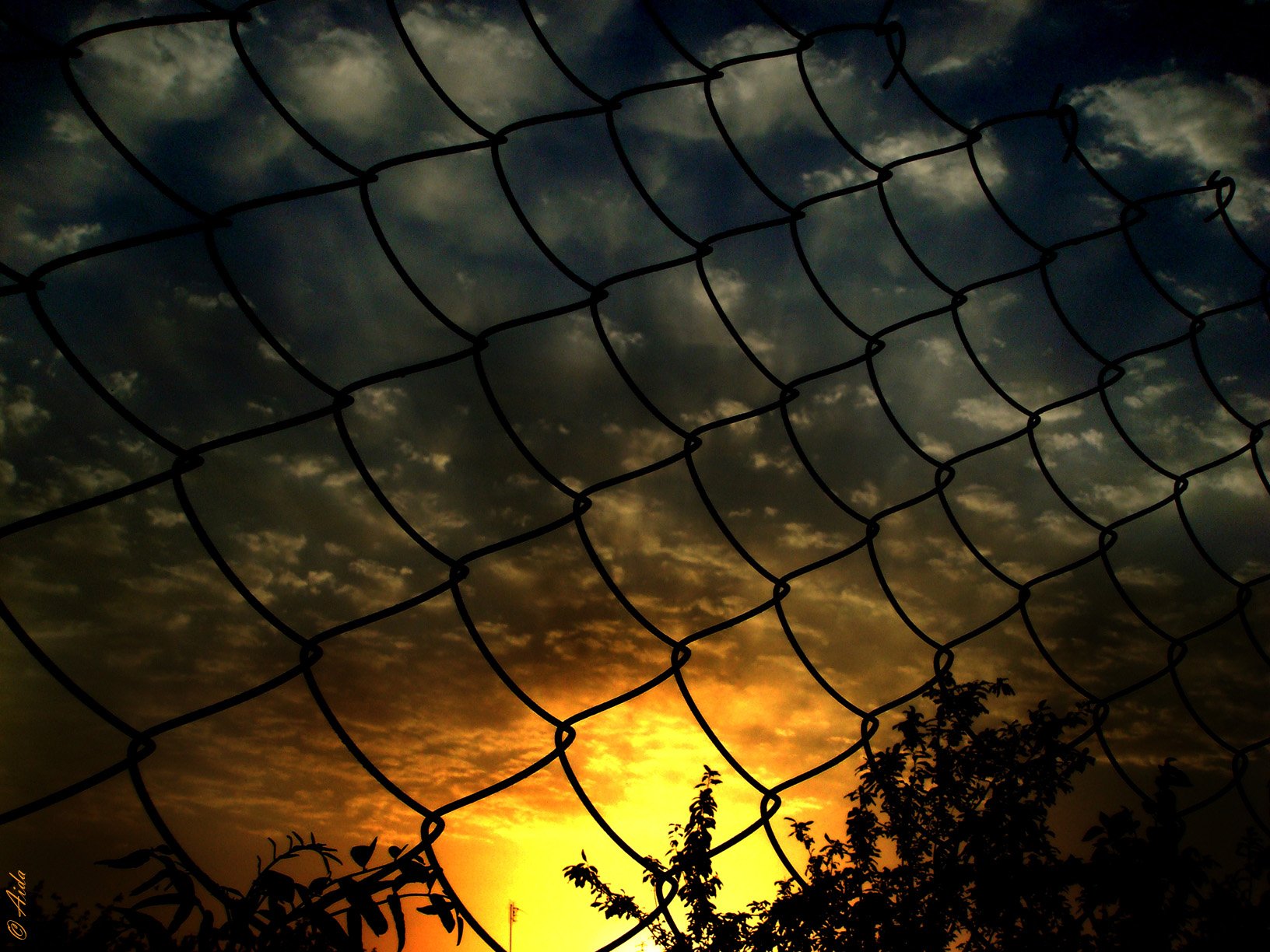 net fence sunset