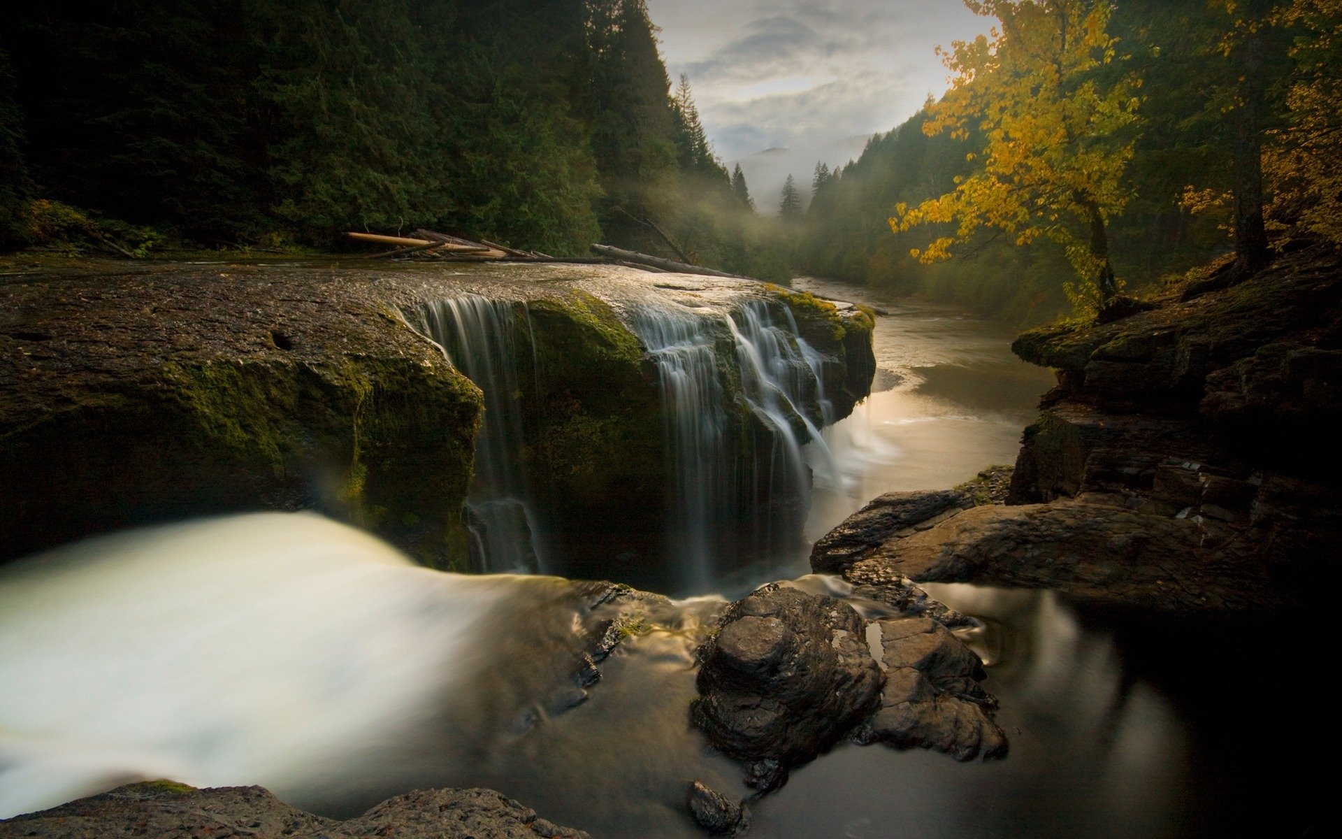 tones river the flow of water tree landscape