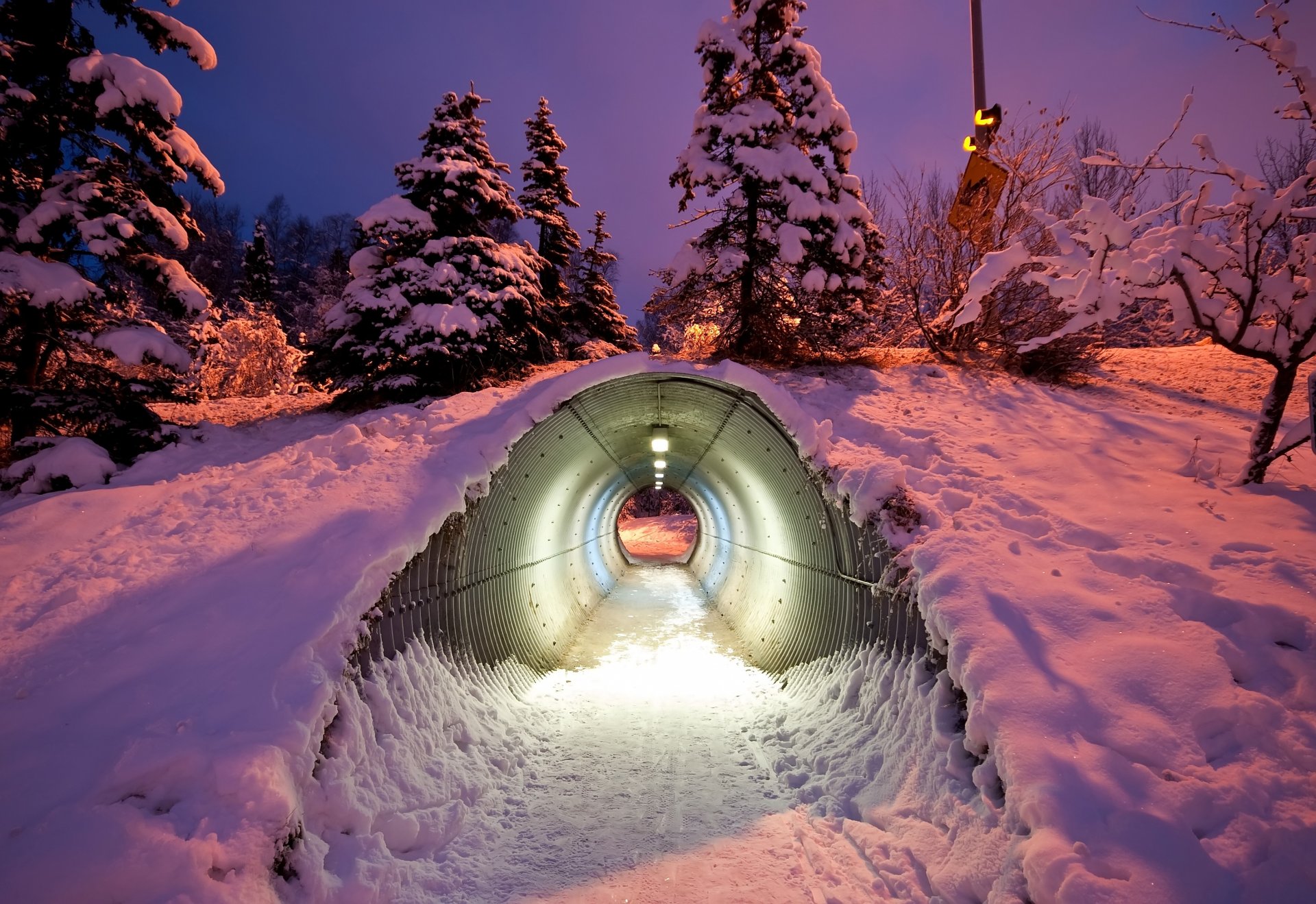 tunel śnieg drzewa