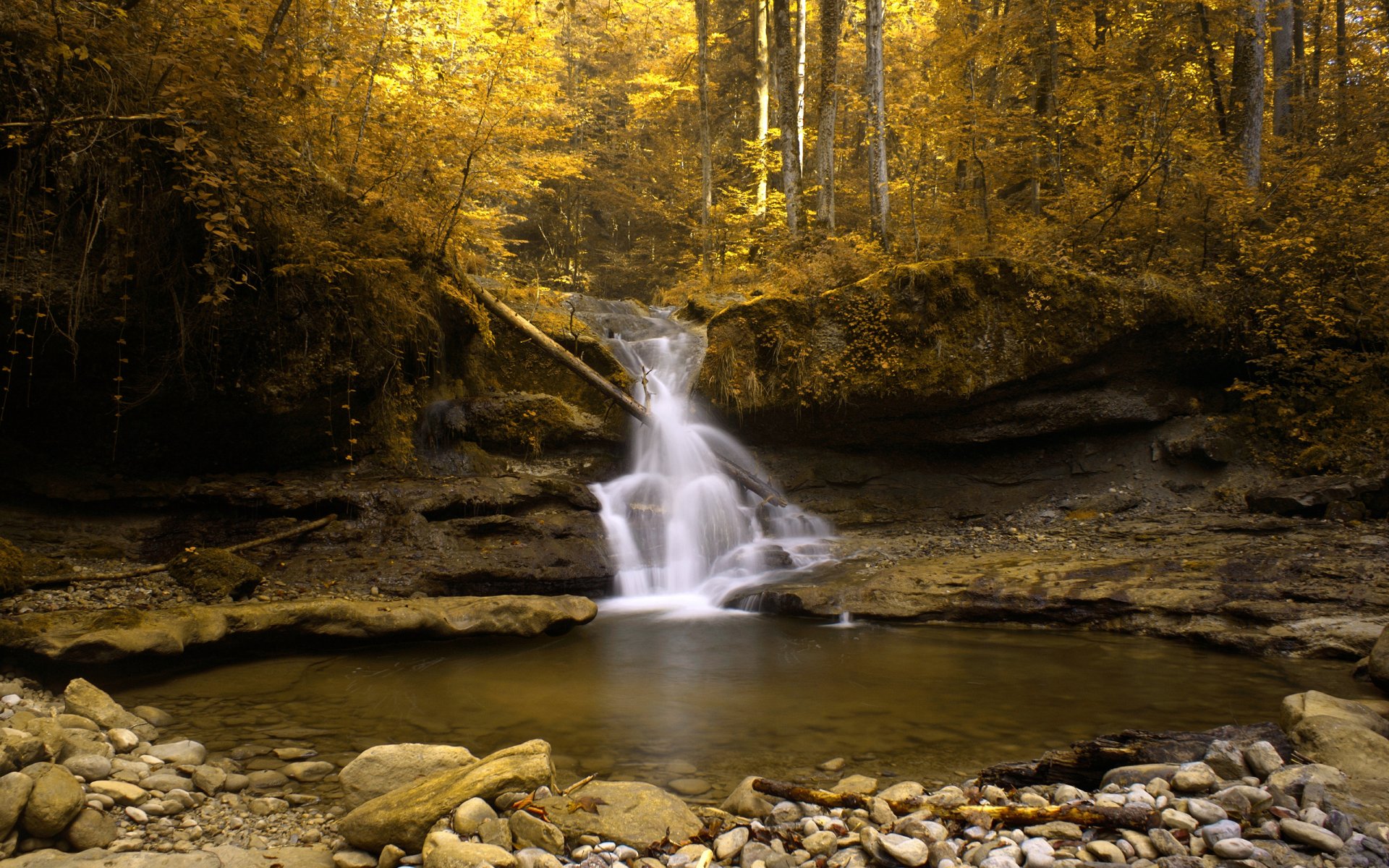 flusso svizzera autunno oro